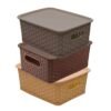 Kitchendesigner Plastic 3 Pieces Small Size Multipurpose Solitaire Storage Basket with Lid